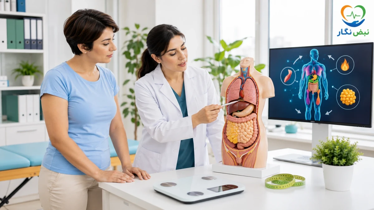 چاقی و متابولیسم چیست؟ از علت افزایش وزن تا درمان علمی چاقی