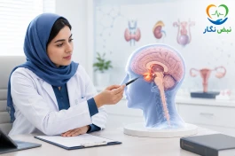 غده هیپوفیز؛ فرمانده کوچک هورمون‌های بدن که اختلال آن همه‌چیز را به‌هم می‌ریزد