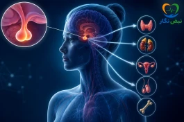 کم‌کاری هیپوفیز چیست؟ | علائم، علت، عوارض و درمان کمبود هورمون‌های هیپوفیز