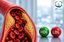 کلسترول خوب و بد چیست؟ تفاوت HDL و LDL، عدد طبیعی و درمان
